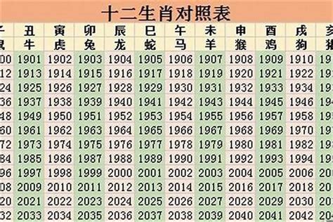 1989年是什么命|1989年属什么生肖，89年出生是什么命